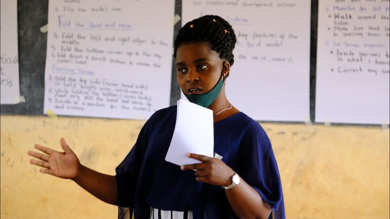 how to become a master in the art of public speaking/mentorship/professional skills