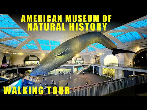 American Museum of Natural History walking tour - New York City - Full Walkthrough