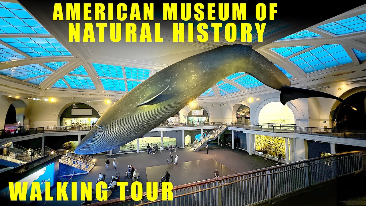 American Museum of Natural History walking tour - New York City - Full Walkthrough